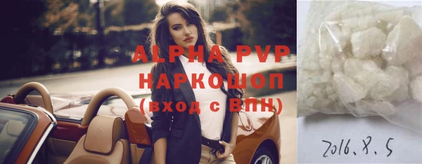 крисы Мегион