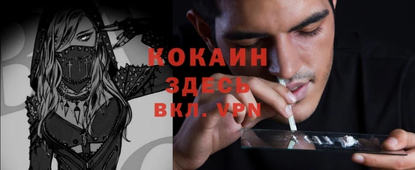крисы Мегион