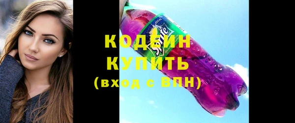 крисы Мегион