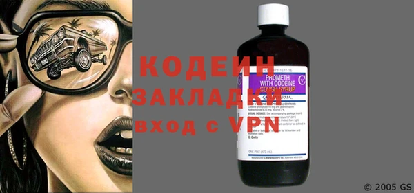 крисы Мегион
