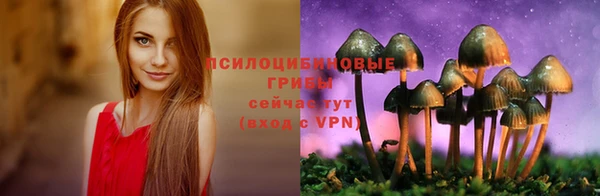 крисы Мегион