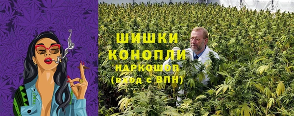 крисы Мегион