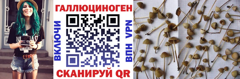 Галлюциногенные грибы Magic Shrooms  наркошоп  Сарапул 